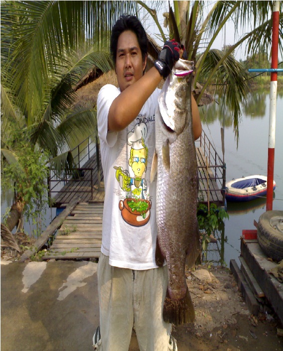 กระพงใหญ่นครปฐมครับ