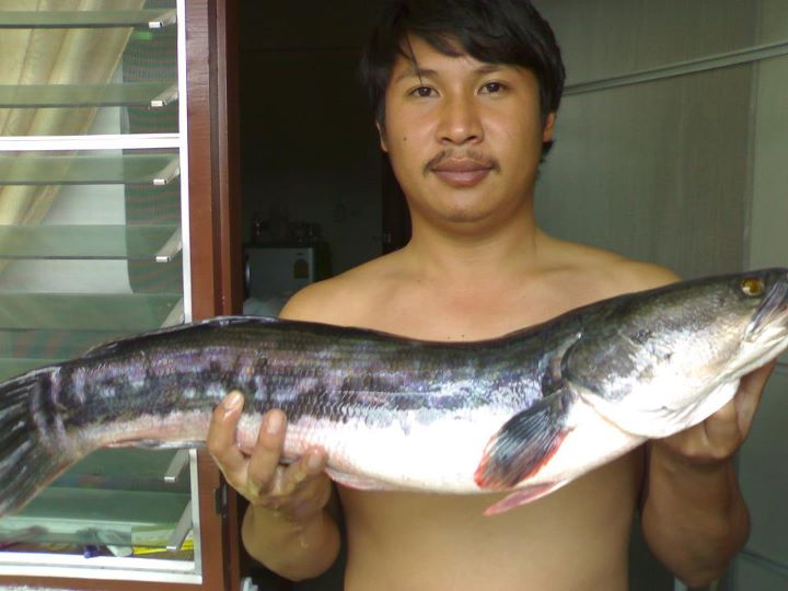 รวมทริปส่งท้ายปี 2554 @แม่กวง แม่งัด