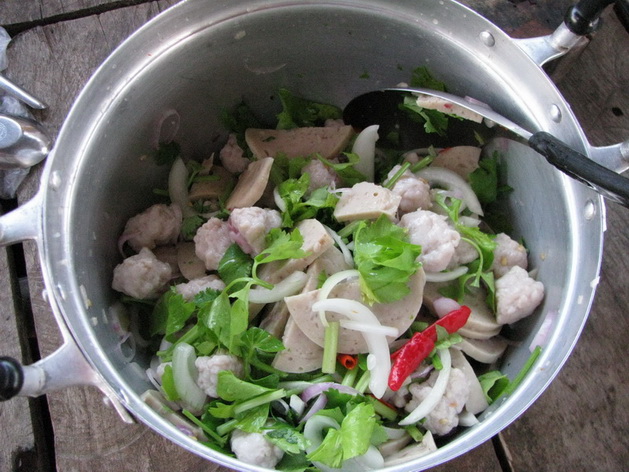 ไปเฝ้าตกยี่สกใหญ่ ที่เขื่อนเขาแหลม