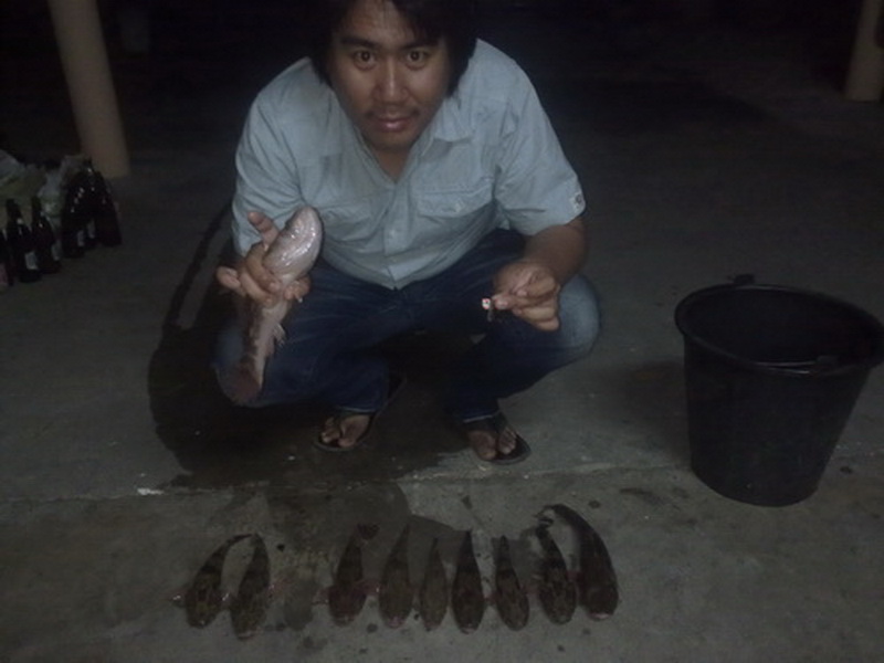 หมายบ้านสร้าง ^^ เบาๆ