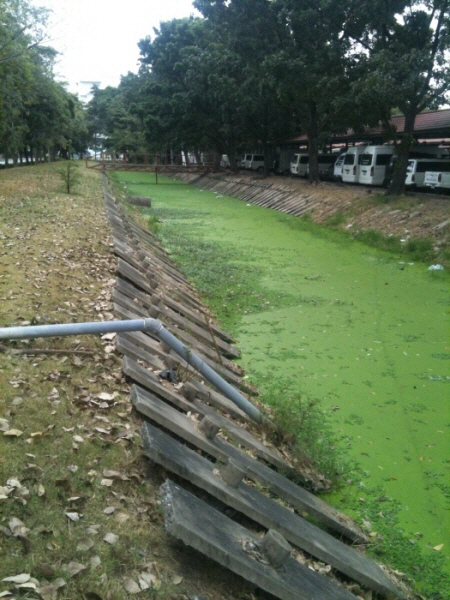 ช่อน วันปีใหม่ 1 มค. 55
