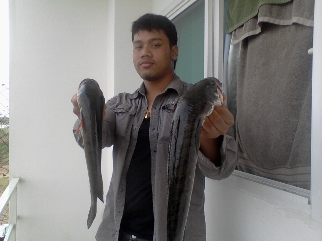 เจิมรอกใหม่อีกแล้ว shimano ceanan