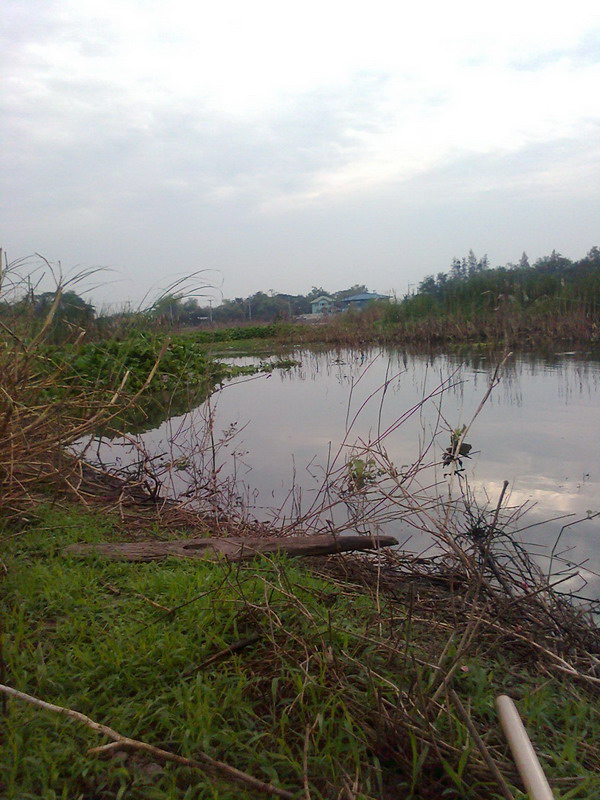 40 นาที อ.ป่าโมก อ่างทอง