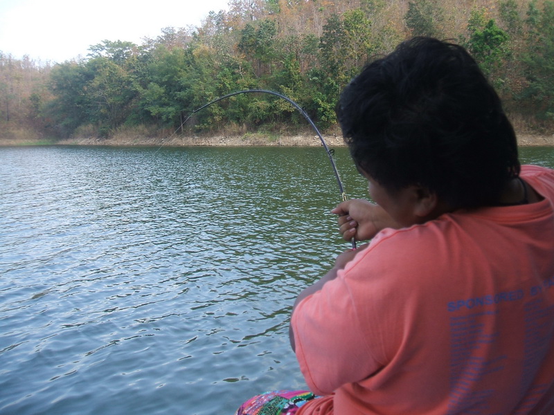ส่งท้ายปีเก่า..ทีแพลูกหมู..เมืองกาญ