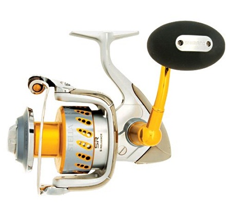 Shimano Stella SW JDM vs USDM