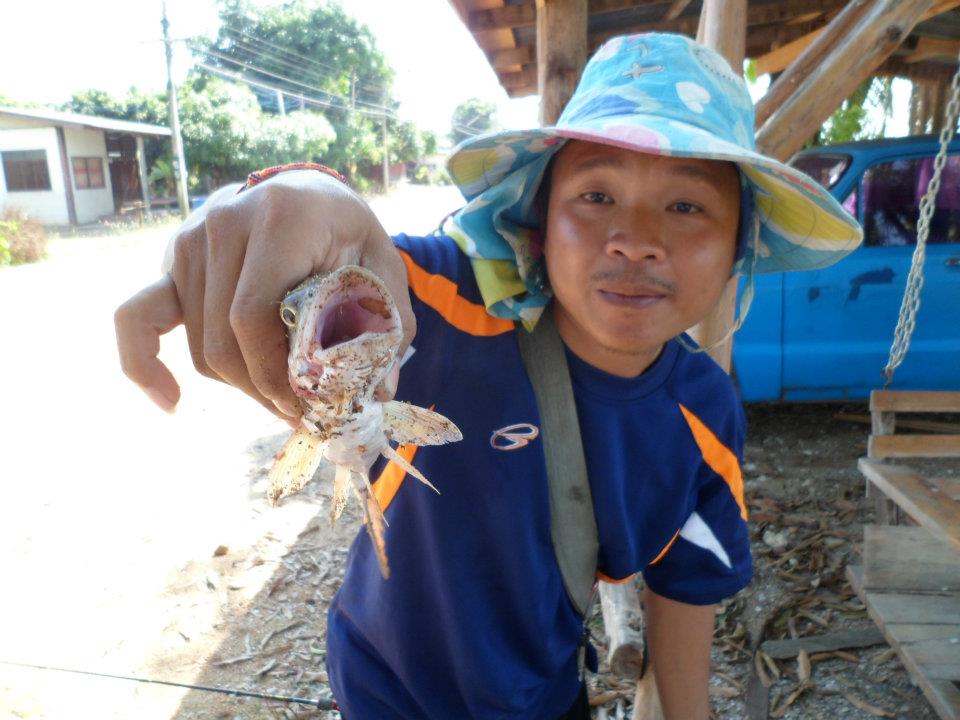 เทโพ ณ.แม่น้ำปิง อ.บ้านตาก จ.ตาก