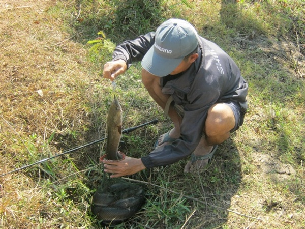 ปีใหม่ไปพิดโลก