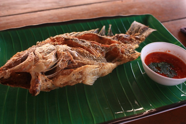 ปลานิล กินกินปลายาง