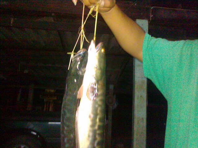 ตะเกียบต้องมาเป็นคู่ อิอิอิ