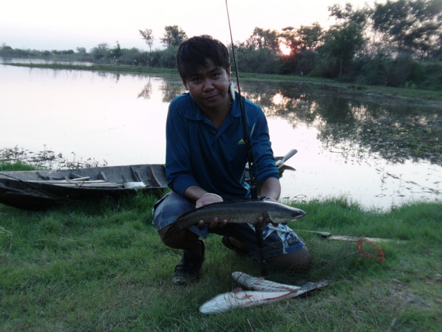 หมายเก่า แต่ปลาใหม่