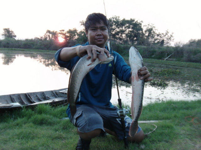 หมายเก่า แต่ปลาใหม่