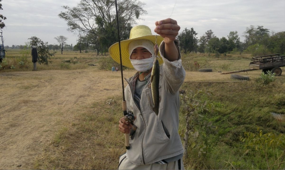 ต้อนรับปีใหม่ของผมครับ