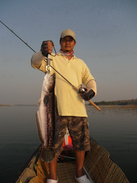 ลองส่งภาพคับ