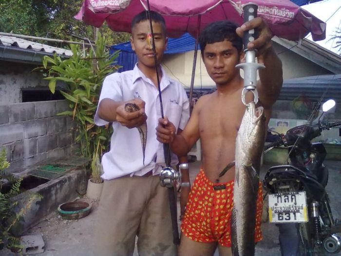 ปลาช่อนหลังตลาดน้ำหัวหิน
