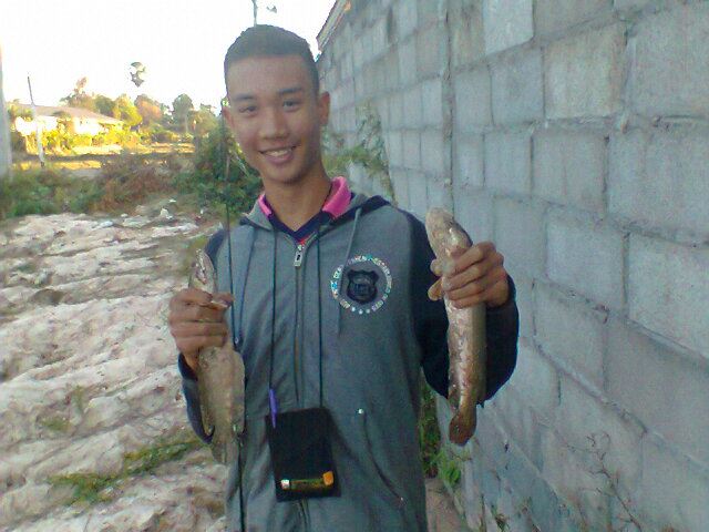 วันว่างๆ