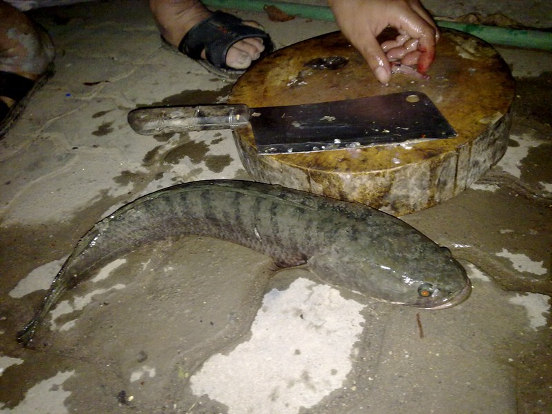 กิจกรรมหลังเลิกงาน