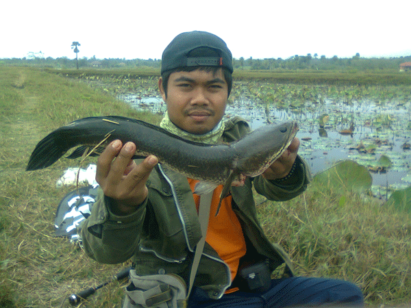 2วันที่ผ่านมา
