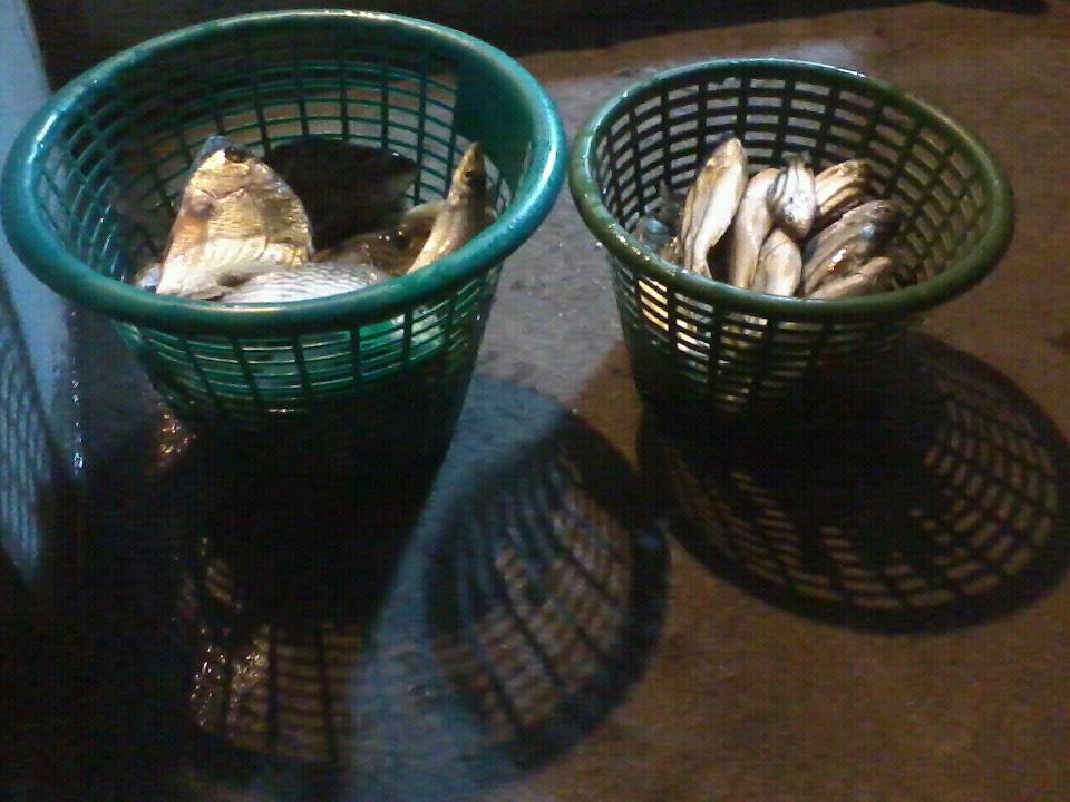 ซิงๆ พึ่งโพสได้ครับ 