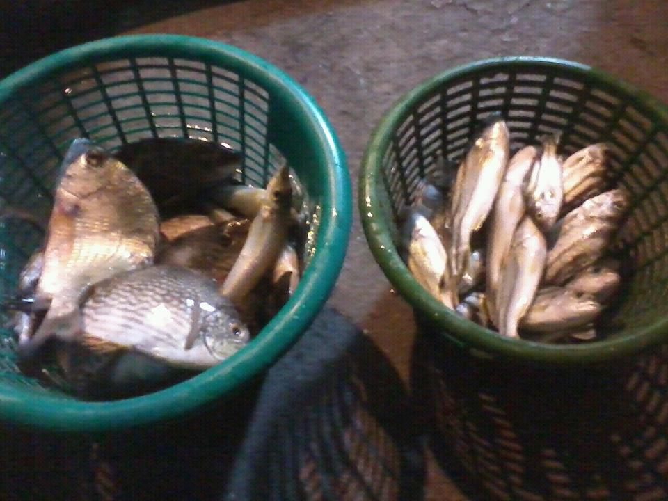 ซิงๆ พึ่งโพสได้ครับ 