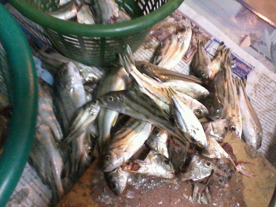 ซิงๆ พึ่งโพสได้ครับ 