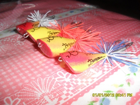 ทำกบเบลล์ ยุธยา 2012..ส้มๆๆ
