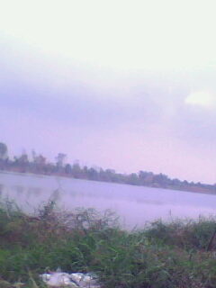 ปลาบ่อเจโมครับ