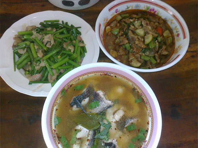 เมื่อเช้าเองคับ ได้มา 1 ตัว