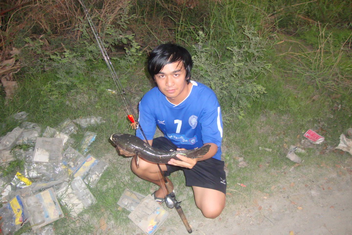 - . . . ช่ อ น บ า ง บั ว ท อ ง & ไ ท ร น้ อ ย . .