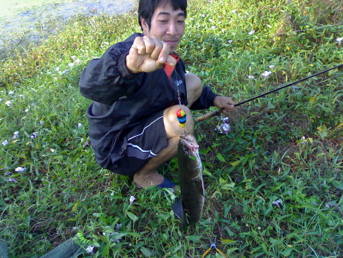 ทุ่นกระโดดลุยดงแหนต่อจากเมื่อวาน