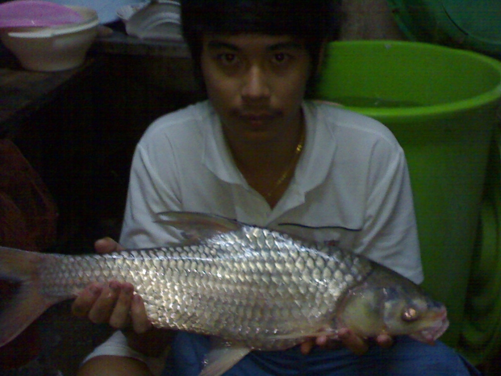 เด็กๆ