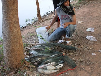 รวมๆ