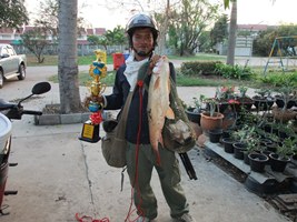 รวมๆ