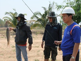 รวมๆ