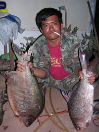 รวมๆ
