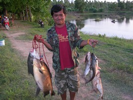 รวมๆ