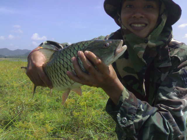 กระสูบเขื่อนปราณบุรีครับ