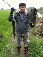 ลองของใหม่