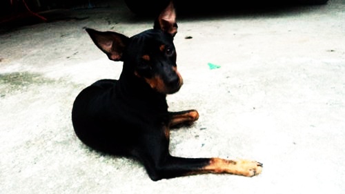 +..เจิม!_อาวุธใหม่..+