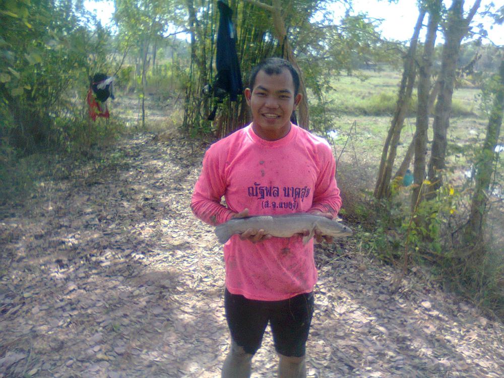 ทริพนี้จัดหนักบ้านขามเฒ่า