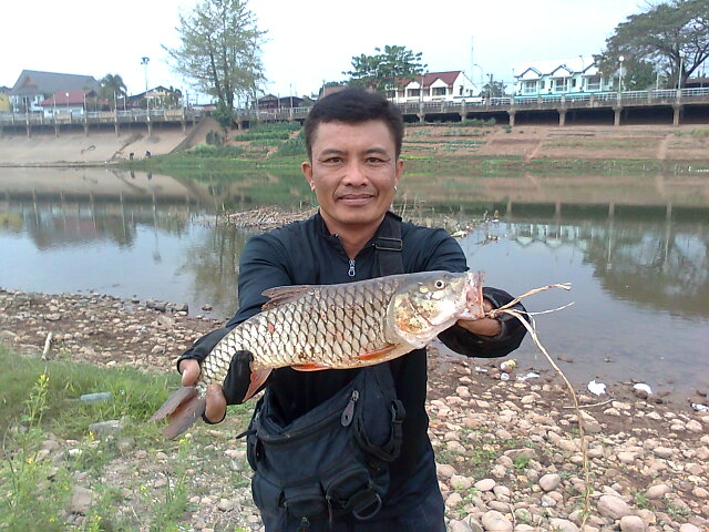 กระสูบเมืองน่าน เมื่อเช้านี้ครับ