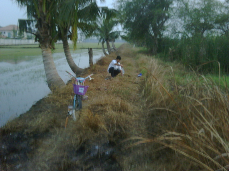 กบ v.2   จัดหนักๆๆ  