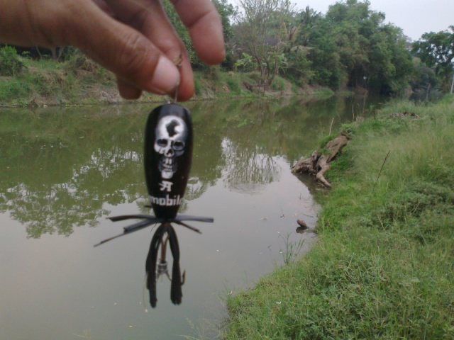 กบชาวบ้านมันจริงๆ