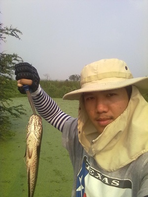 ปลาตัวแรก ณ หนองแขม 