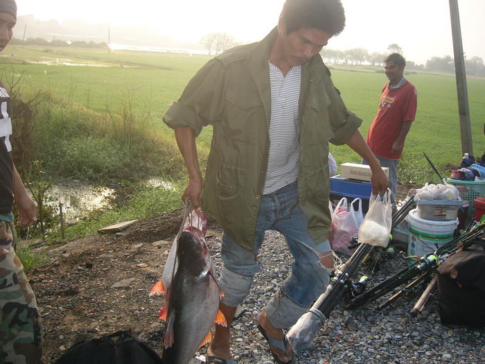 บางไทร ทั้งกุ้งทั้งปลา