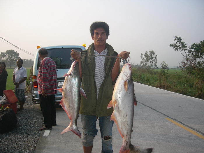 บางไทร ทั้งกุ้งทั้งปลา