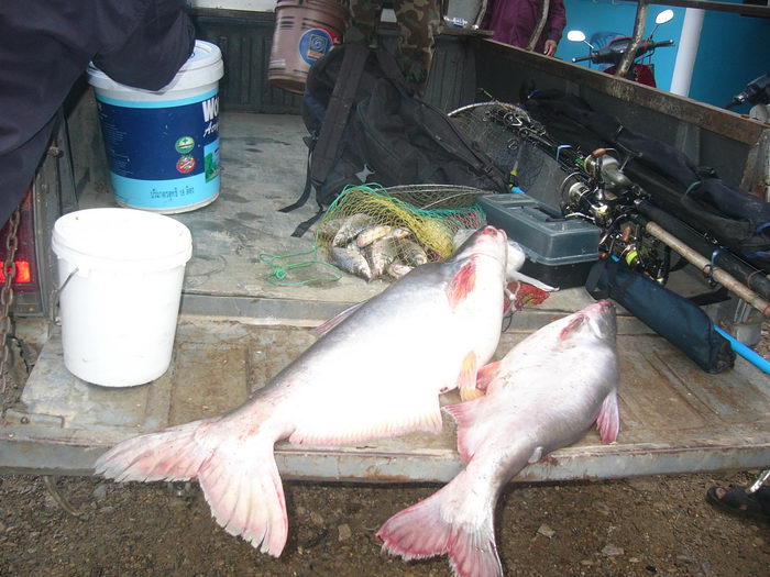 บางไทร ทั้งกุ้งทั้งปลา