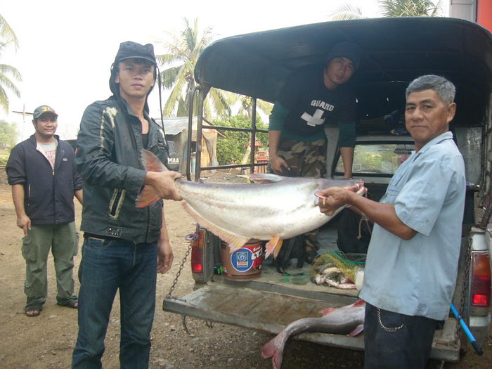 บางไทร ทั้งกุ้งทั้งปลา