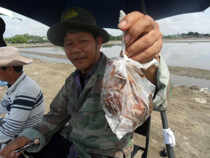 ท่านใดที่สนใจตกเห็นโคน