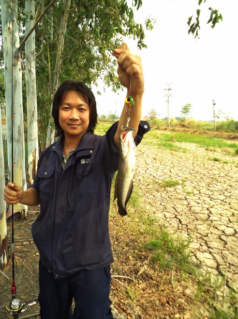 ฝูงสับพิฆาต  มาตับๆๆทั้งครอบครัว