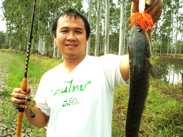 ฝูงสับพิฆาต  มาตับๆๆทั้งครอบครัว